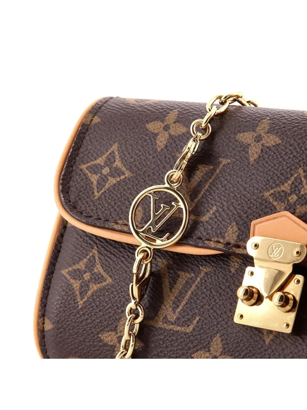 Louis Vuitton Camille Pochette Canvas #340377L19B